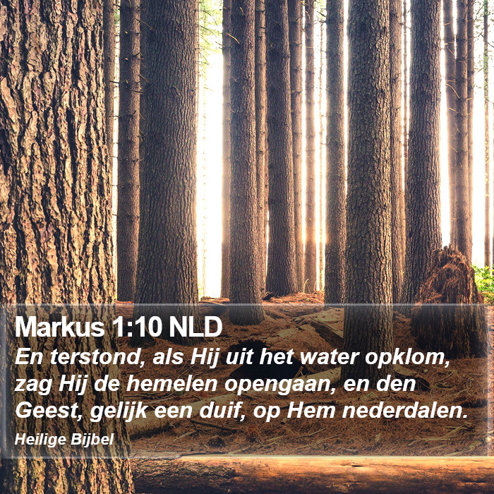 Markus 1:10 NLD Bible Study