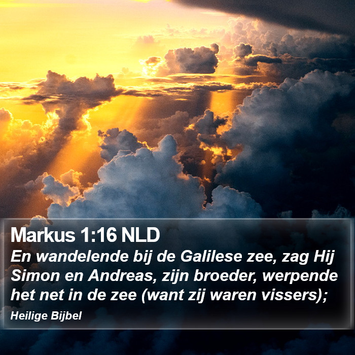 Markus 1:16 NLD Bible Study