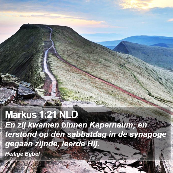 Markus 1:21 NLD Bible Study