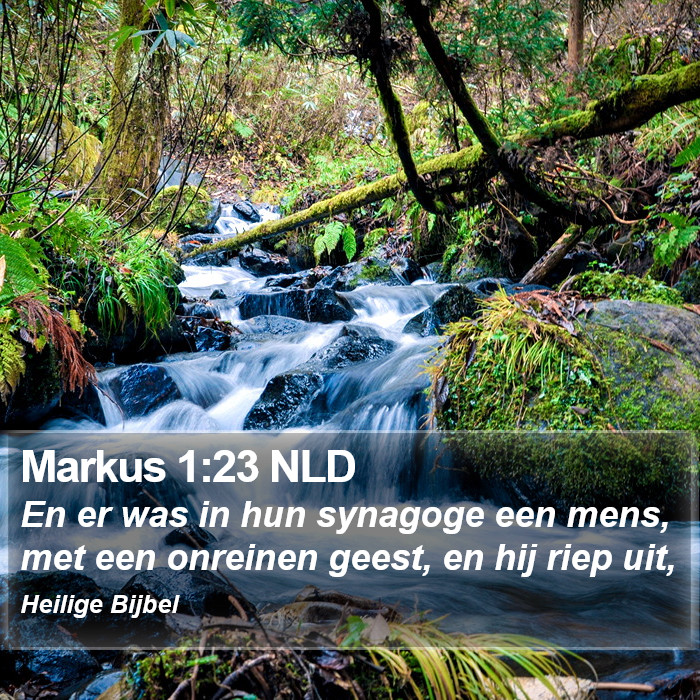 Markus 1:23 NLD Bible Study