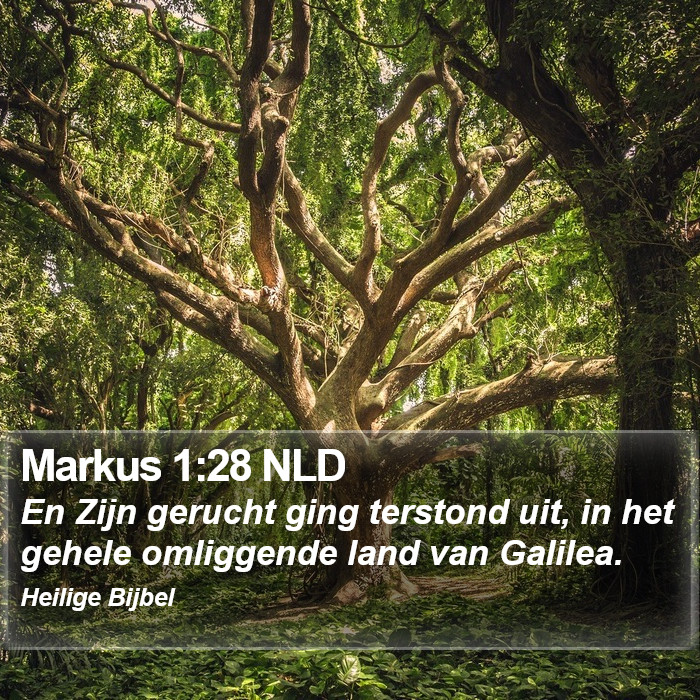 Markus 1:28 NLD Bible Study