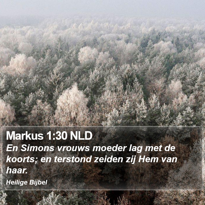 Markus 1:30 NLD Bible Study