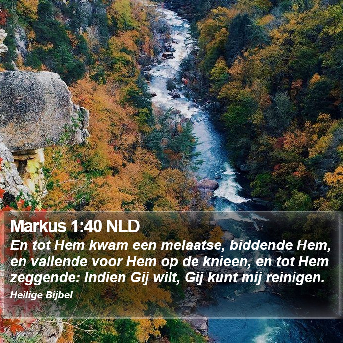 Markus 1:40 NLD Bible Study