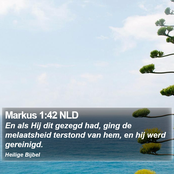 Markus 1:42 NLD Bible Study