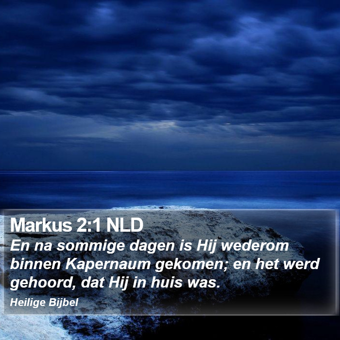 Markus 2:1 NLD Bible Study
