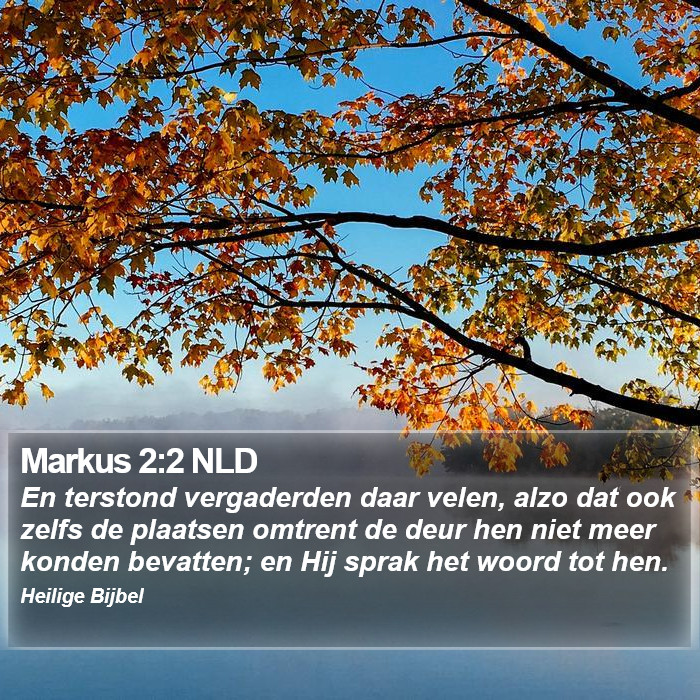 Markus 2:2 NLD Bible Study