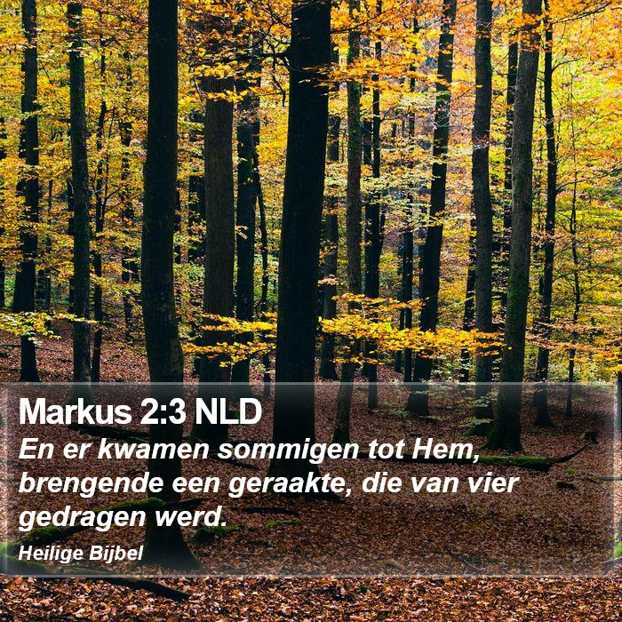 Markus 2:3 NLD Bible Study