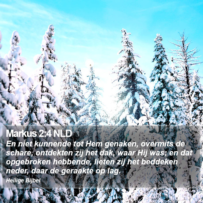 Markus 2:4 NLD Bible Study