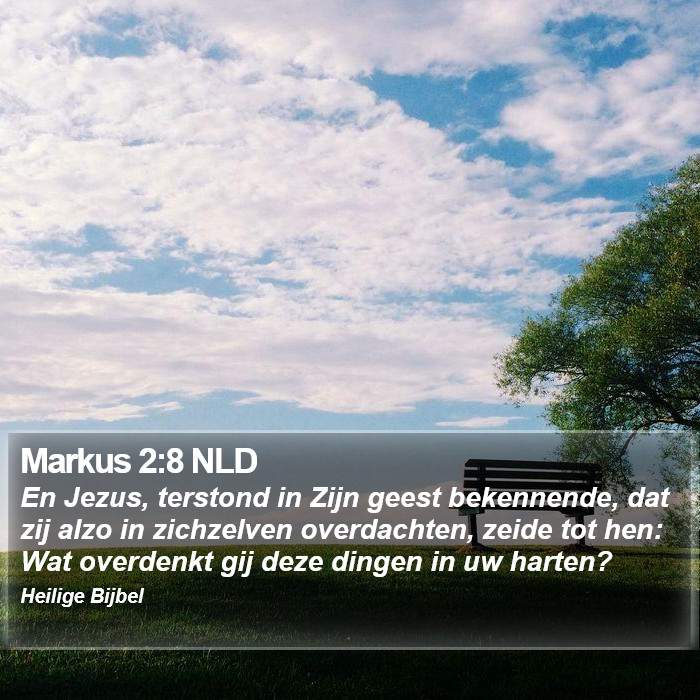 Markus 2:8 NLD Bible Study