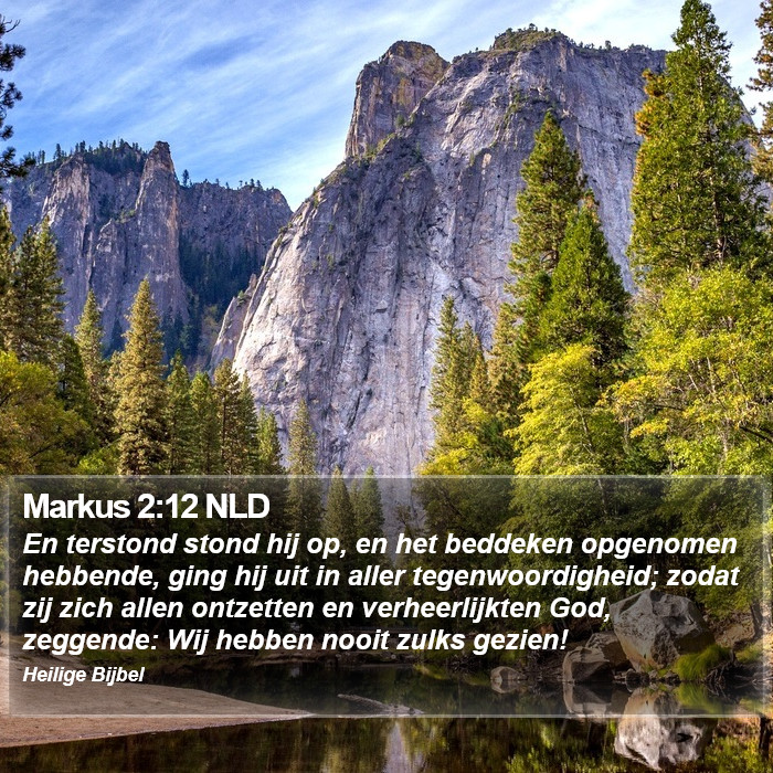 Markus 2:12 NLD Bible Study