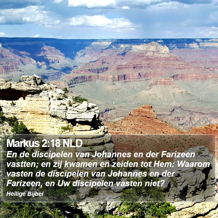 Markus 2:18 NLD Bible Study
