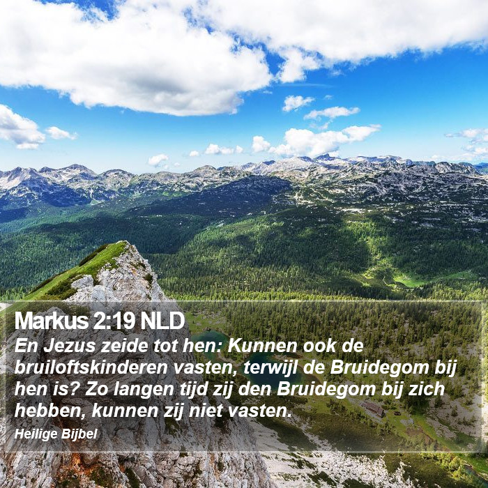 Markus 2:19 NLD Bible Study