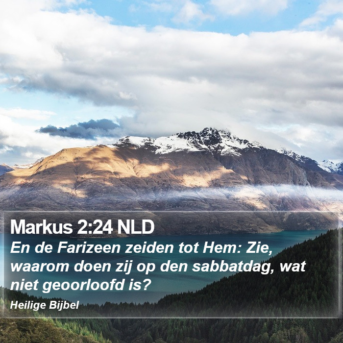 Markus 2:24 NLD Bible Study
