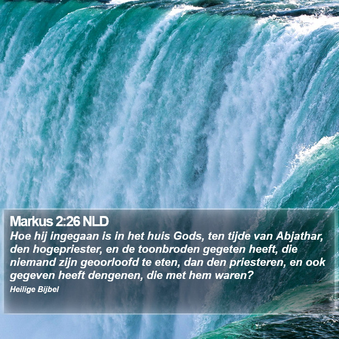 Markus 2:26 NLD Bible Study
