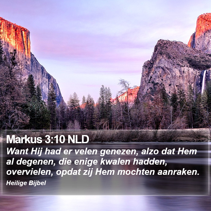 Markus 3:10 NLD Bible Study
