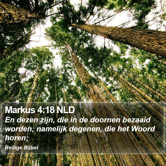 Markus 4:18 NLD Bible Study