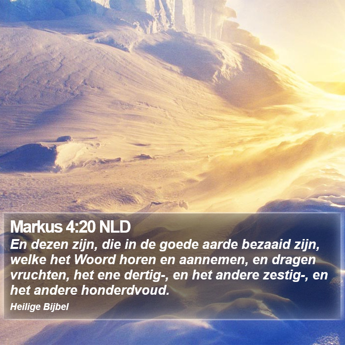 Markus 4:20 NLD Bible Study