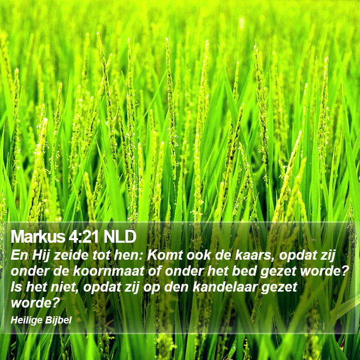 Markus 4:21 NLD Bible Study