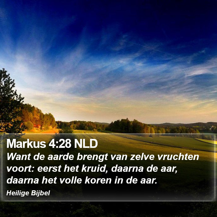 Markus 4:28 NLD Bible Study