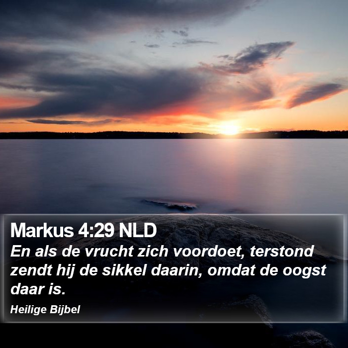 Markus 4:29 NLD Bible Study