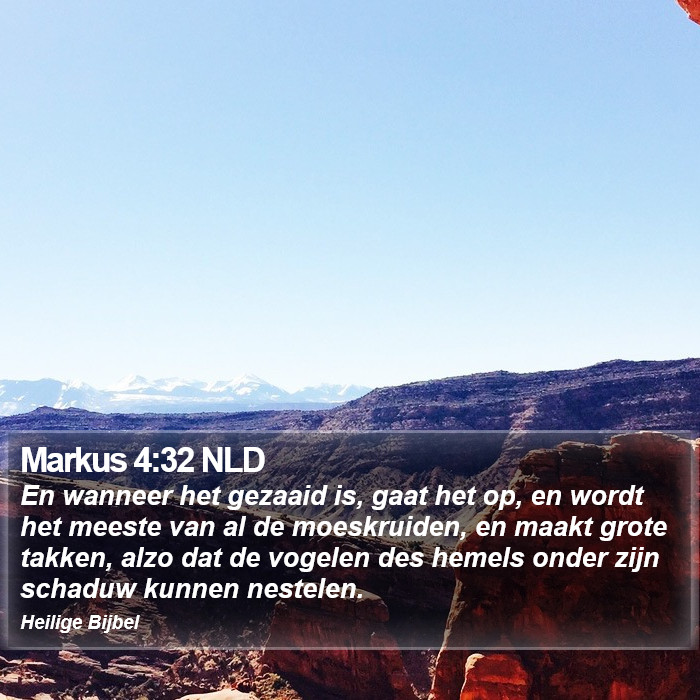 Markus 4:32 NLD Bible Study