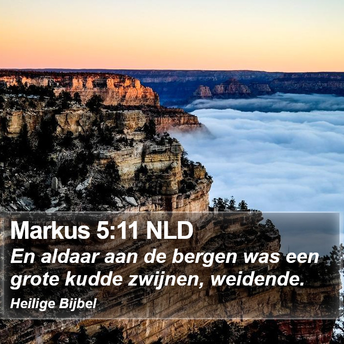 Markus 5:11 NLD Bible Study