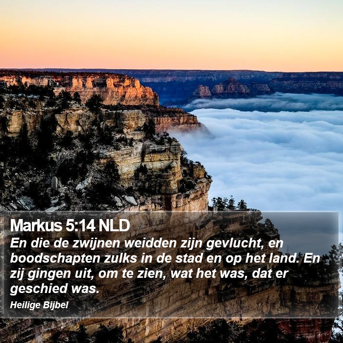 Markus 5:14 NLD Bible Study