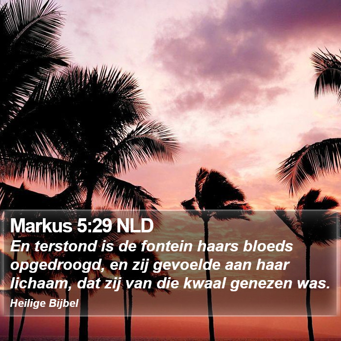 Markus 5:29 NLD Bible Study