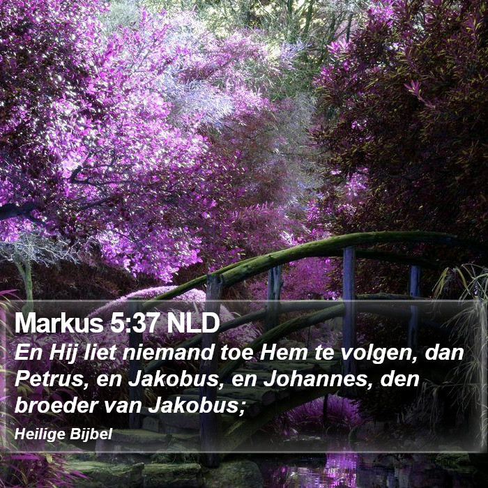 Markus 5:37 NLD Bible Study