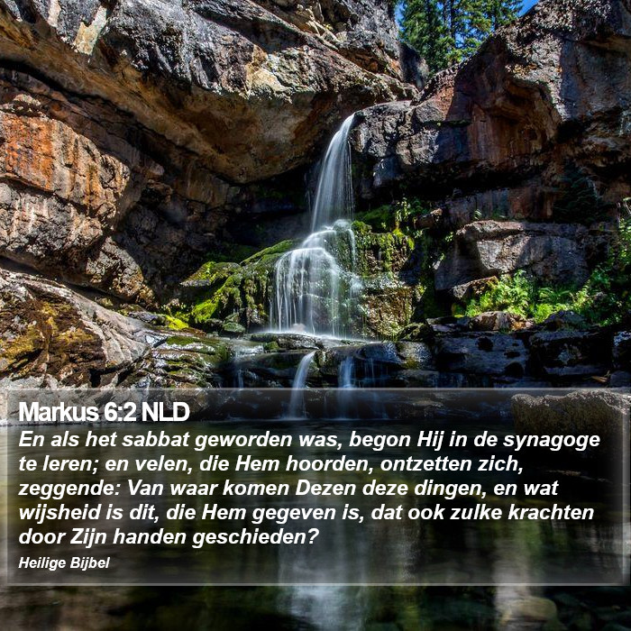 Markus 6:2 NLD Bible Study