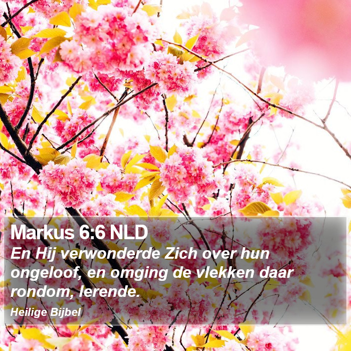 Markus 6:6 NLD Bible Study