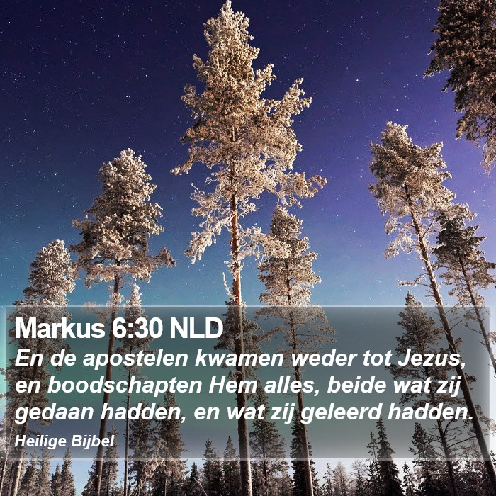 Markus 6:30 NLD Bible Study