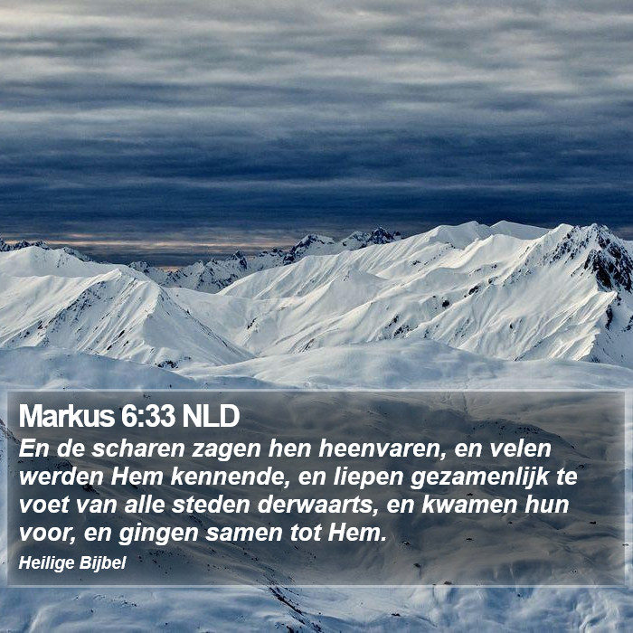 Markus 6:33 NLD Bible Study