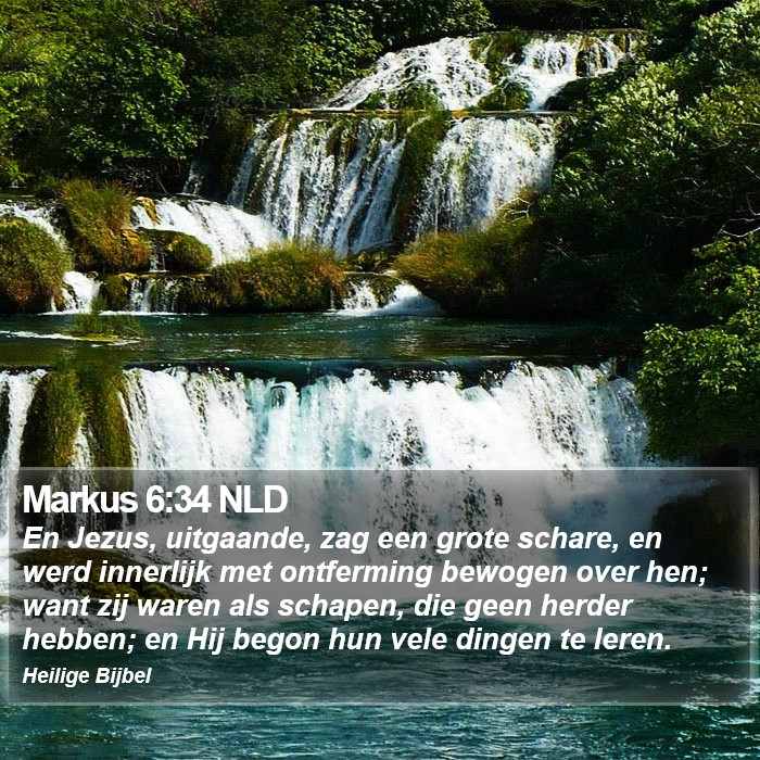 Markus 6:34 NLD Bible Study