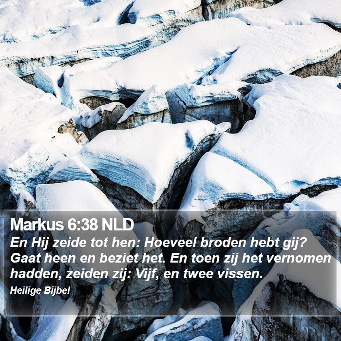 Markus 6:38 NLD Bible Study