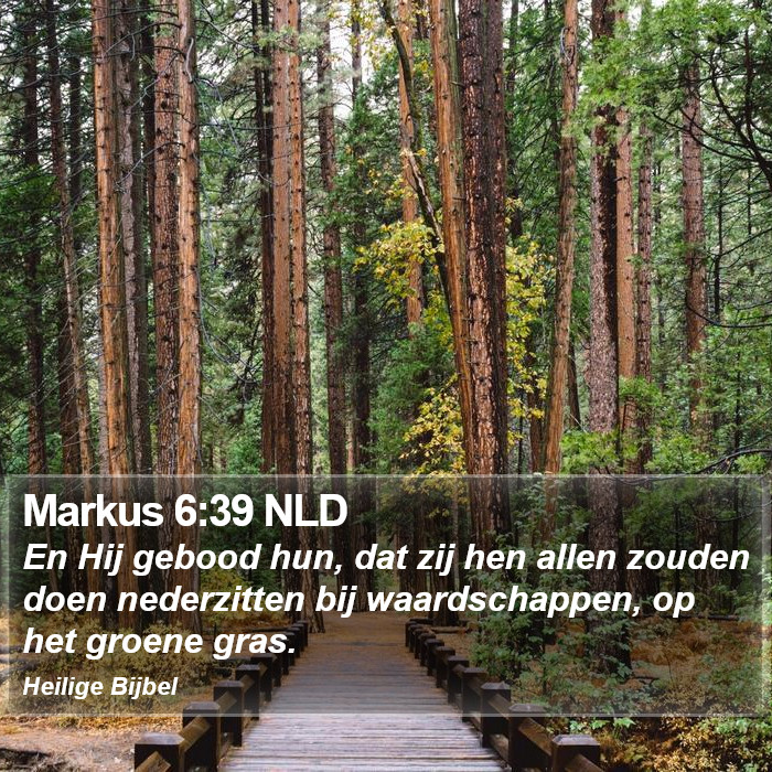 Markus 6:39 NLD Bible Study