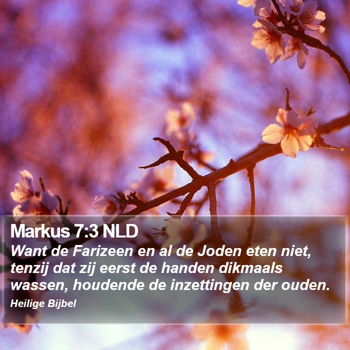 Markus 7:3 NLD Bible Study