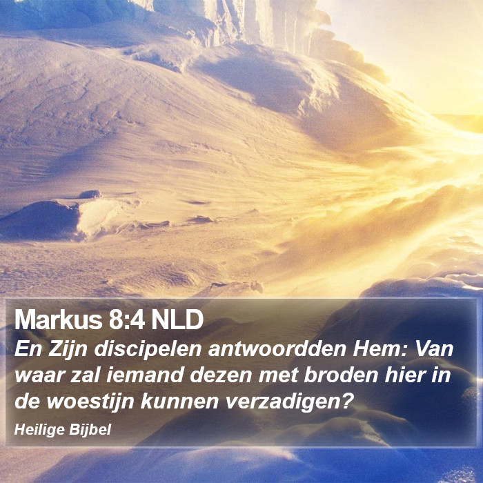 Markus 8:4 NLD Bible Study
