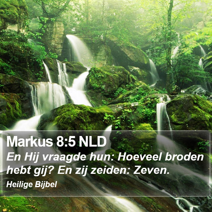 Markus 8:5 NLD Bible Study