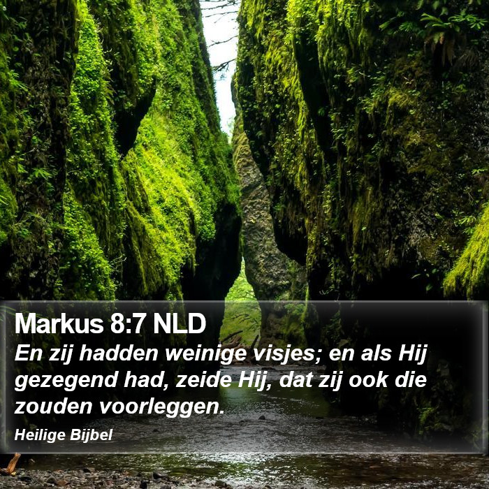 Markus 8:7 NLD Bible Study