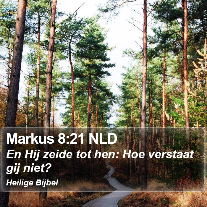 Markus 8:21 NLD Bible Study