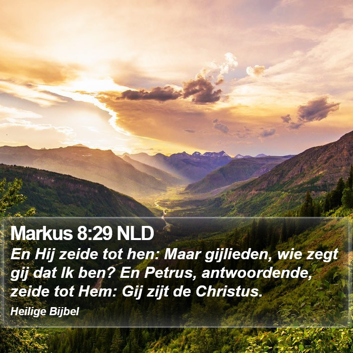 Markus 8:29 NLD Bible Study