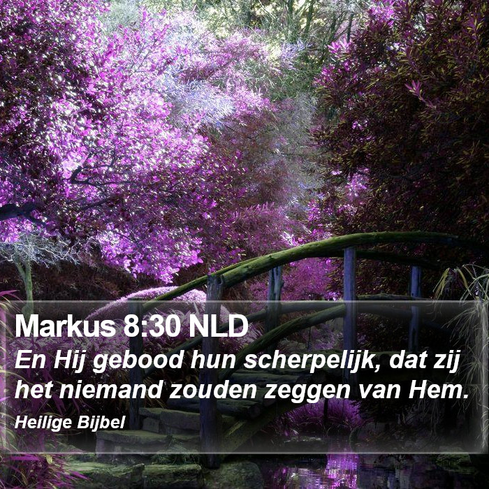 Markus 8:30 NLD Bible Study