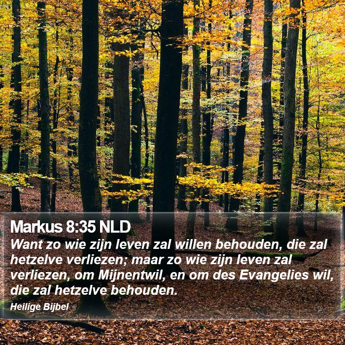 Markus 8:35 NLD Bible Study