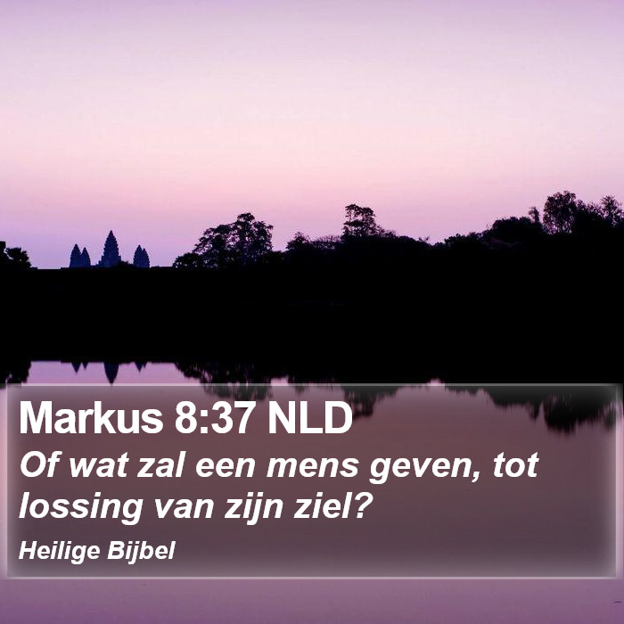 Markus 8:37 NLD Bible Study