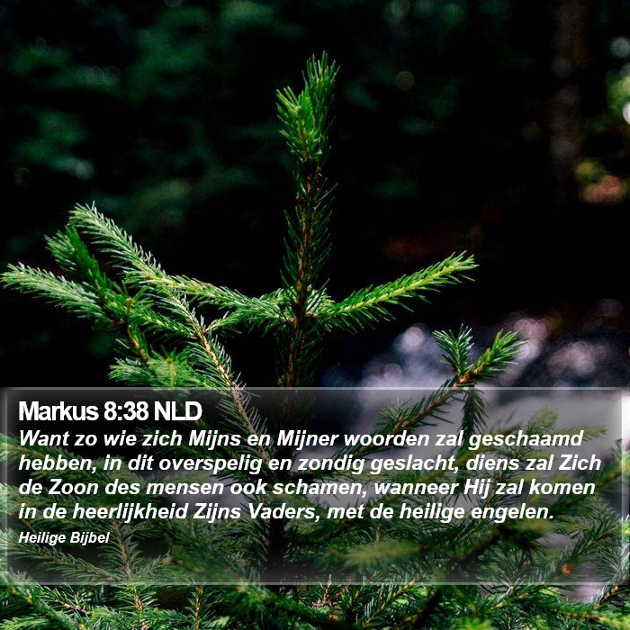 Markus 8:38 NLD Bible Study