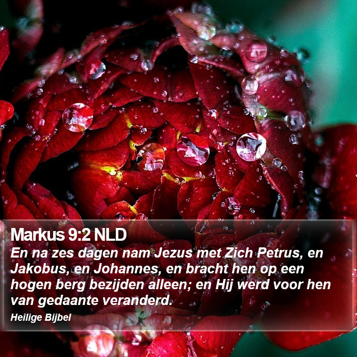 Markus 9:2 NLD Bible Study