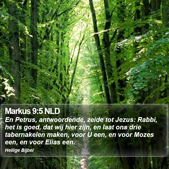 Markus 9:5 NLD Bible Study