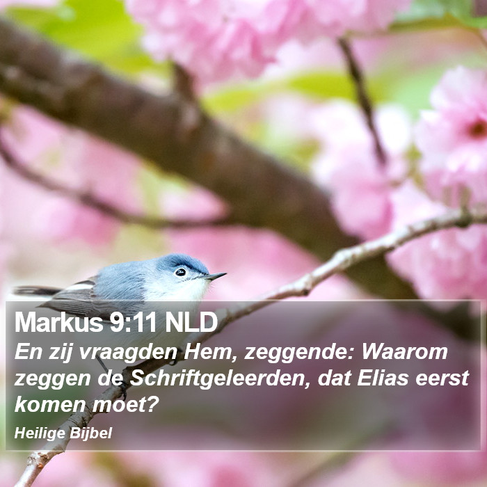 Markus 9:11 NLD Bible Study