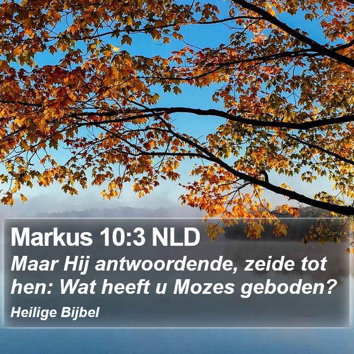 Markus 10:3 NLD Bible Study